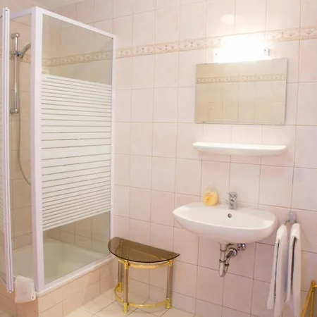 Hotel Aparthotel Landau An Der Isar 3*